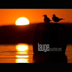 Lauge - Pusterum (Bonus Track Album Mix)