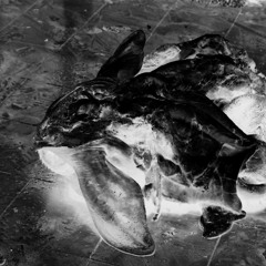 Incendiar Assassine  -- Unofficial version!!