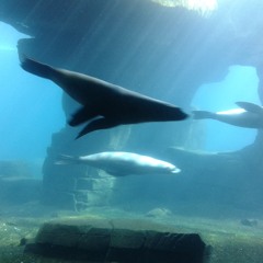 Deepeche Mode "Dream On" Remix 02