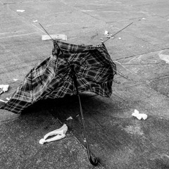 Non Voler Dire Nulla Su