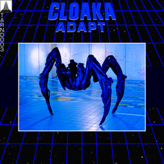 Cloaka - Adapt (Liar Optimix)