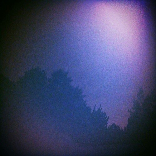 Bones - floralprint (prod. Saavagebeatz)