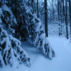 Dance With The Snow Queen