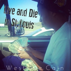 Live In Die In St.Louis