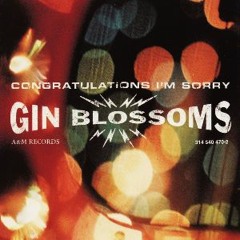 As Long As It Matters - Gin Blossoms