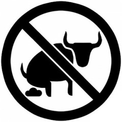 AUDIOCOMA - Don´t Bullshit Me (Silvano Scarpetta Remix) PreView