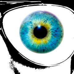 CAMERAS ARE WATCHING (Gavin Hardkiss Remix)