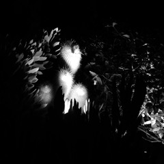 Wayfaring Stranger Acapella