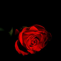 ain't no greater love (quick sixteen) [prod. tom misch]