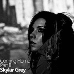 Skylar Grey - Coming home (cover w/ Finishia)