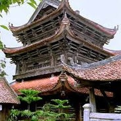 Thái Bình Mồ Hôi Rơi - Gấu Mixer