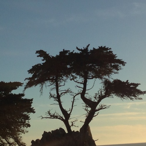 Daily Meditation: Connecting Through Listening