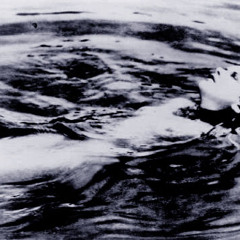 Hey Hey, Les Chevaux