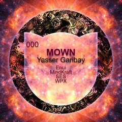Yasser Garibay - Mown (Mindkraft Remix)  WEIRD REC