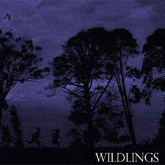 OSKAR BRAVES - Wildlings (single Version)