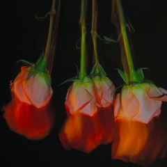 07 Positive Arguments