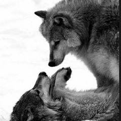 AmezcuaBEAT- Energy (original mix)