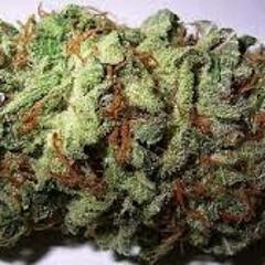 Da Dadada Do Camsokold ft Airvo Remix