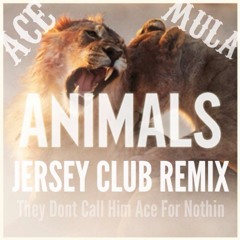 Animals