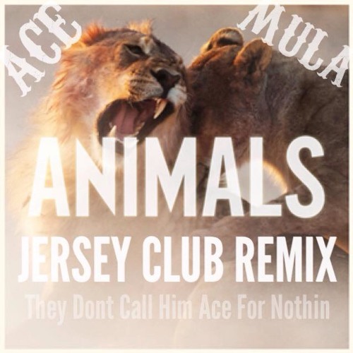 Animals