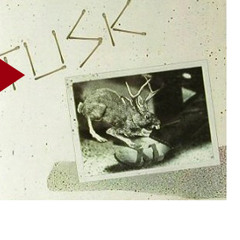 Tusk (DJ Spun Not Fleetwood MegaEdit)