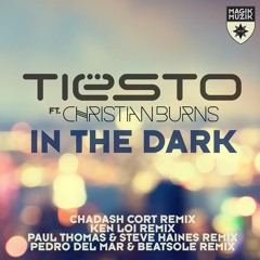 Tiesto Feat. Christian Burns - In The Dark (Pedro Del Mar & Beatsole Remix) @ Solarstone - SI 441