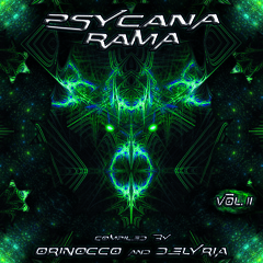 ELECTRIC NOIZE - Acid Love