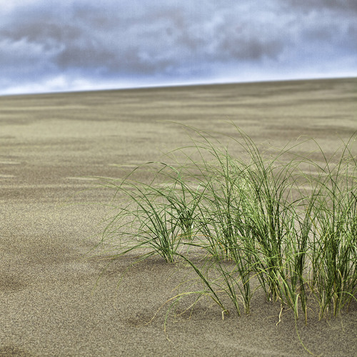 Backdrop: The Human Canvas