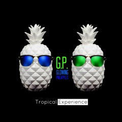 BUY IT NOW ON ITUNES!!! - TROPICAL EXPERIENCE