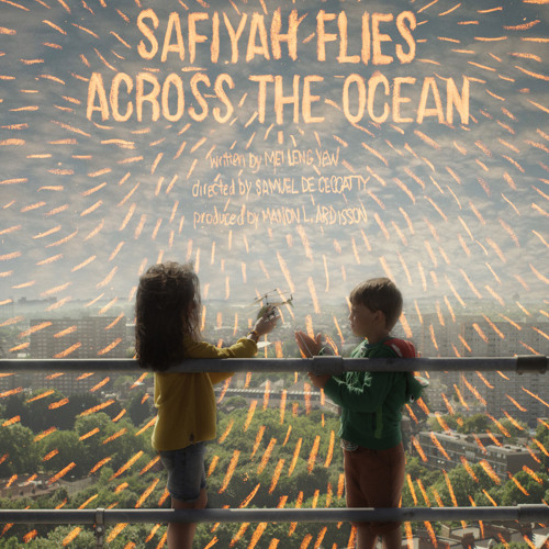 Safiyah Flies Across the Ocean End Credits