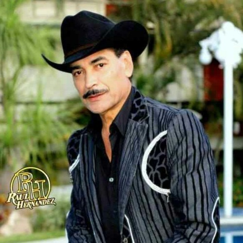 Stream RAUL HERNANDEZ EL TIGRE SOLITARIO at LZ BAR AND GRILL YUMA by Gary  Snyder 2 | Listen online for free on SoundCloud