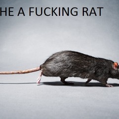 3. Mo Stacks - Round Here (Freestyle)