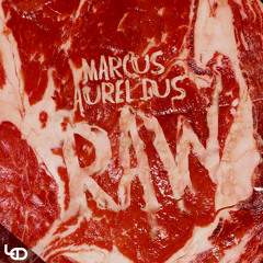 RAW - Marcus Aurelius