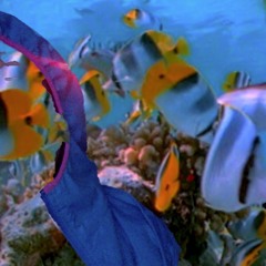 Orchestral Movements