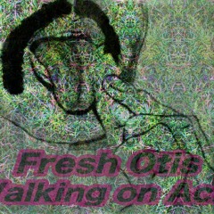 FreshOtis - WalkingONaciD     Solid Groove rec.