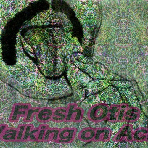 FreshOtis - WalkingONaciD     Solid Groove rec.