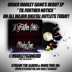 - B.O.N - King Louie Remix - DRich & JaySpacely of MarleyGangOD