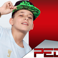 MC Pedrinho & MC Vaguim - Pras Solteiras ( DJ LERRI 22 ) Lançamento 2015