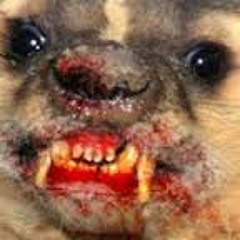 PhaseTwo - Rabid Demon Weasel