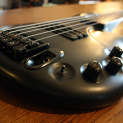 Sample Ibanez Ergodyne EDC-715