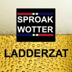 Ladderzat (Radio bewaarken wav)