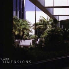 DIMENSIONS  [Liquid DnB Mix]