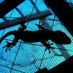 NightMare (Foxeye Remix)/もがくひと