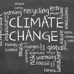 Science Friday's Climate Confessions