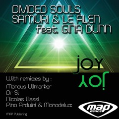 Divided Souls, Samuri & Le Alen Feat. Gina Dunn - Joy (Nicolas Bassi Remix)