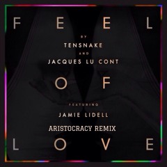Tensnake & Jacques Lu Cont - Feel Of Love Ft. Jamie Lidell (Aristocracy Remix)