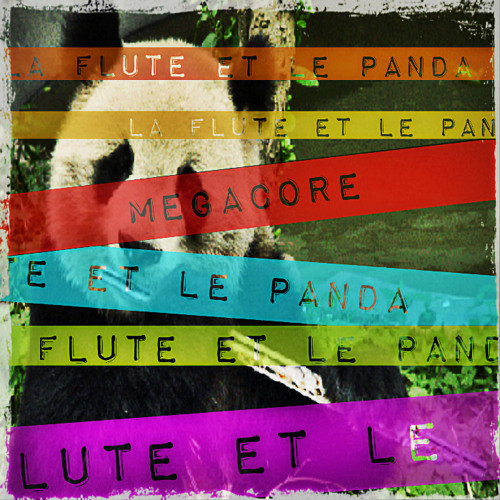 Megacore - La Flûte Et La Panda  FULL TRACK IN DESCRIPTION
