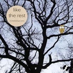 catastrophe owls Like The Rest (Blanketdragon Remix)