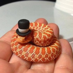 Yeehaw!