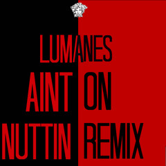 Aint On Nuttin Remix